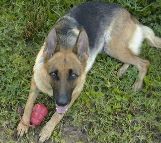 �z�X����JON�����ł��B