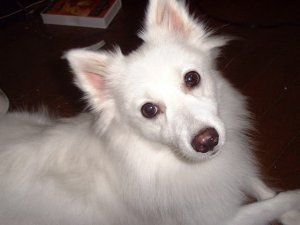 �݂イ�����