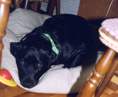 �x�b�h�ł��l���l�I