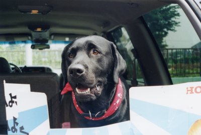 �����A�����I�l�̃N�b�L�[�A�����Ă��ꂽ�H�H�H