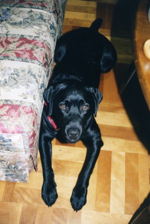 ����ρA���㐶���ҁH