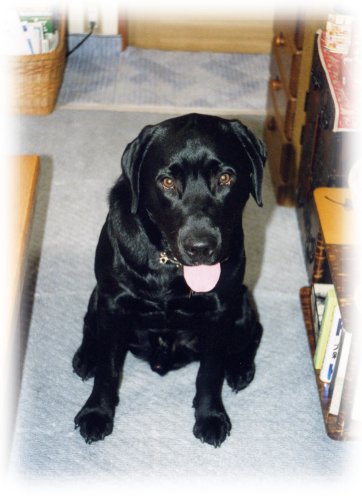 �����H�H�H