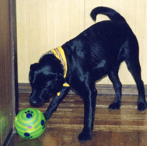 �R���R���R���R��