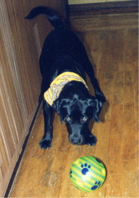 �ւցA�Ƃ��߂����I