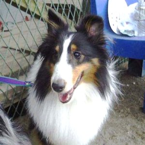 ����т����I