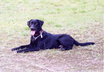 ���������[�h�̃m�A�N