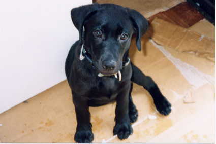 ����Ȏ��������܂����I�����ł���H