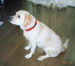 ������o���܂��I