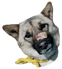 �����炿���I