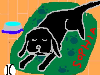 �\�t�B�A�����I