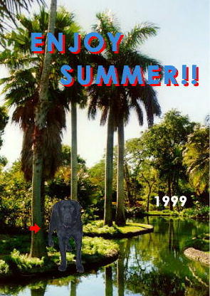 Browser does not support images.