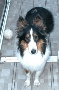 ���ւ�I�����܂��I