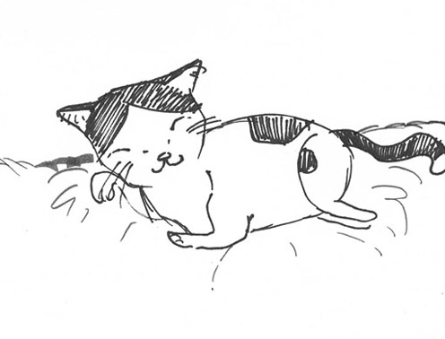 わが家の猫