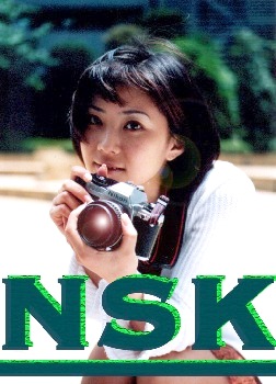 nsk02-b.jpg (39226 oCg)