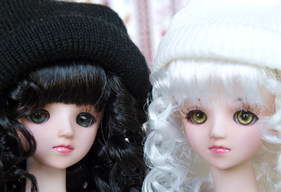 ドルフィープラス2人