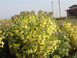 ubR[