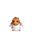 ハムスター