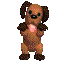 犬