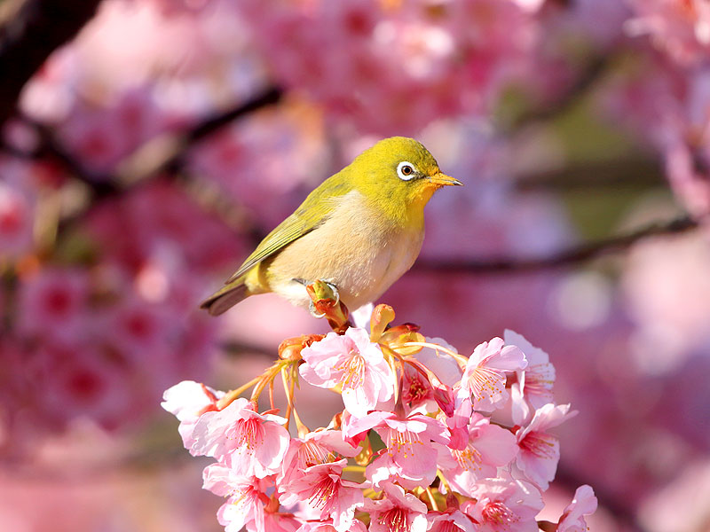 �͒Í��E���W��