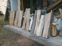 P2010008.JPG (436912 oCg)
