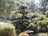 02sentei2.jpg (473521 バイト)