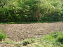 1999st3.jpg (52430 oCg)