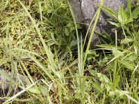8mwaget1.jpg (463105 oCg)