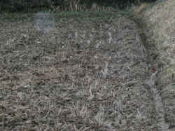 koun2002-2-2.jpg (456996 oCg)