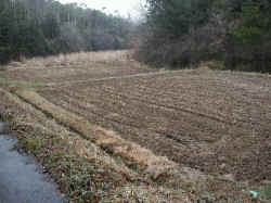 koun2002-3,4.jpg (453258 oCg)