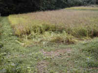 P9240004.JPG (460555 oCg)