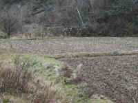 PC190016.JPG (456718 バイト)