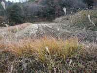 pc190001.JPG (467728 バイト)