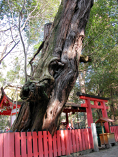 奈良春日社・水谷神社：2013.2.3