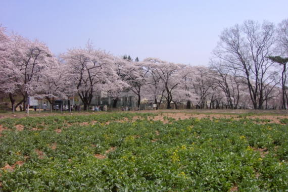 ȂEݎꂽゾ