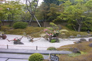 草月流が3日間だけ円通寺の庭に花を生けてた