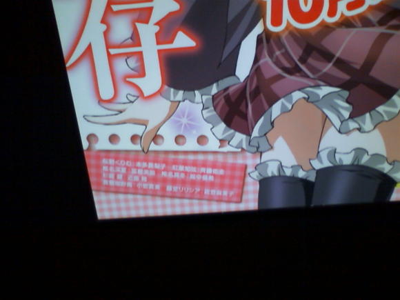 デジカメ持って行くんだった