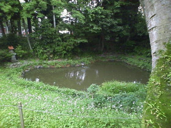 龍神様のおわします池、だっけ?