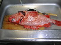 大きな魚