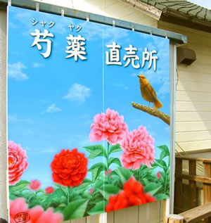 芍薬直売所の看板