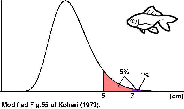 Distribution of body length of goldfish which are bred in a fish farm A. Redrawn from Fig.55 of Kohari (1973).