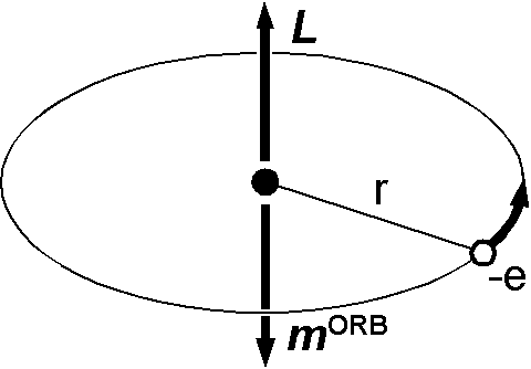 Orbital angular momentum and orbital magnetic moment in the Bohr model of an atom.