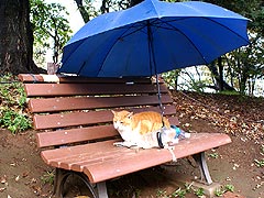 北の丸公園5 2011.10.22