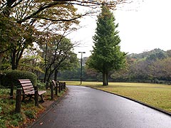 北の丸公園1 2011.10.22