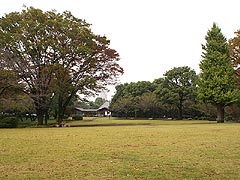 北の丸公園2 2011.10.22