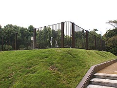 北の丸公園3 2011.10.22