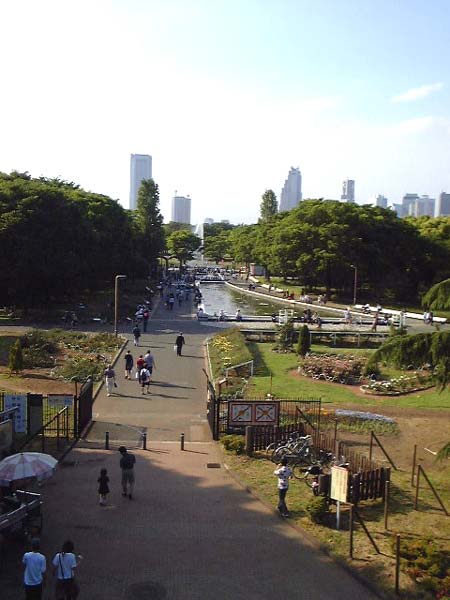 代々木公園 公園人の散策記 楽天ブログ