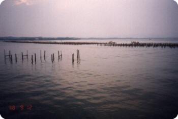 浜名湖