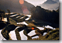 tanada-con.gif (9175 oCg)
