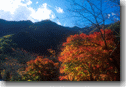 okutama-con.gif (9109 oCg)