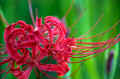 03.jpg (158625 oCg)